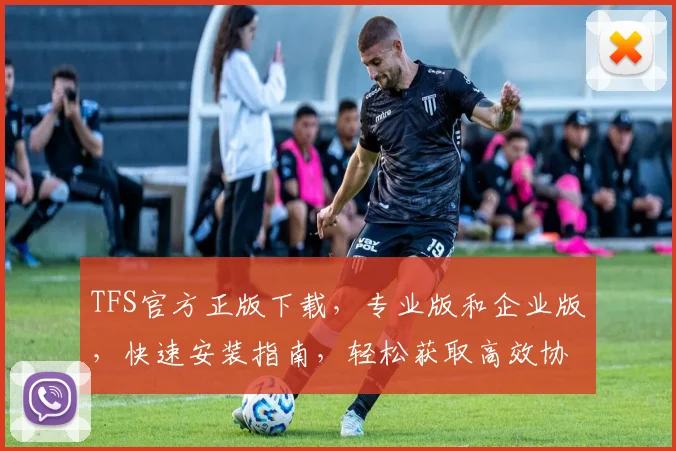 TFS官方正版下载，专业版和企业版，快速安装指南，轻松获取高效协作工具